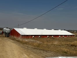 31490099
