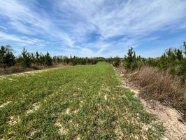 31495408