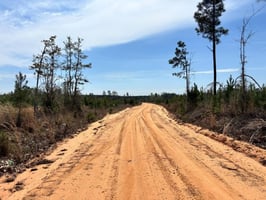 31495418