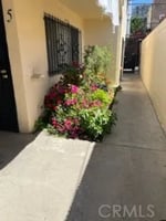 31806454