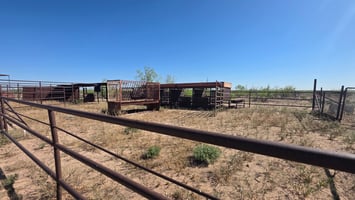31500366