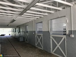 31504546