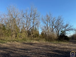 31508260