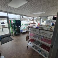 31508638