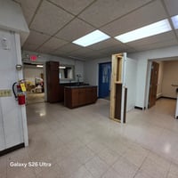 33596041