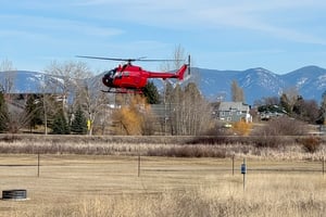 31509731