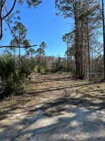 31513656