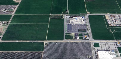 31516036