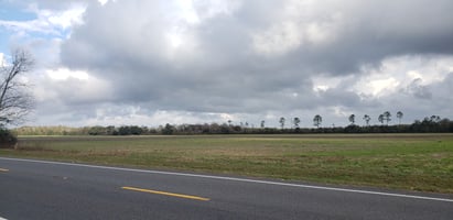 31516239