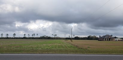 31516240