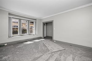 31555299
