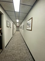 31517596