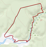 31517402