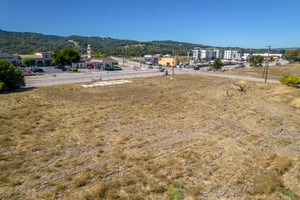 31517441