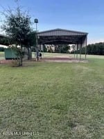 31519343