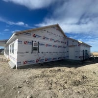 31523099