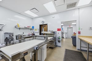 31547469