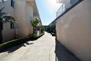 31524309