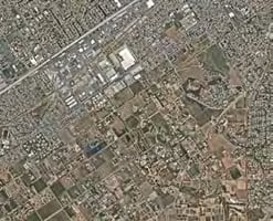 31524566