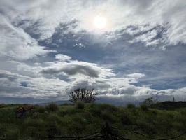 31524727