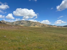 31524757