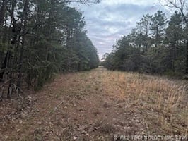 31527355