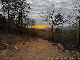 31527342