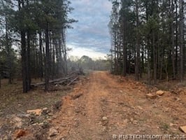 31527345