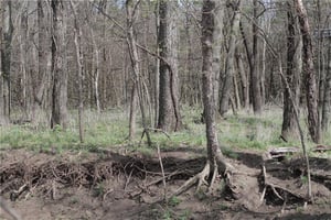 31527789