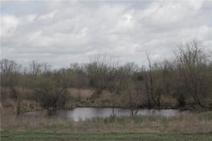 31527800