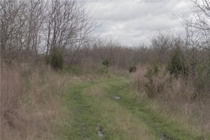 31527778
