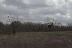 31527816