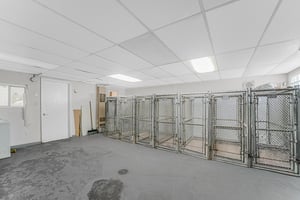 31529104