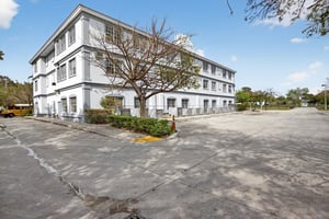 31533355