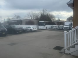 31533008
