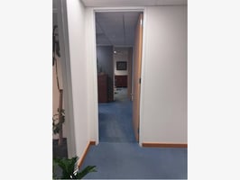 32294305
