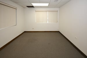 31534443