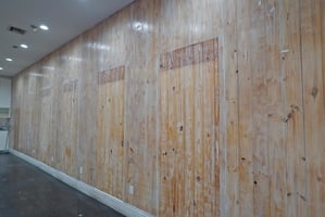 33581669