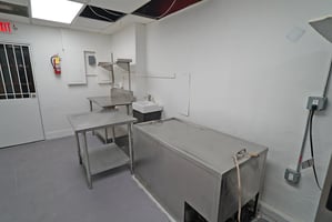 33581607