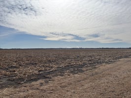 31535181