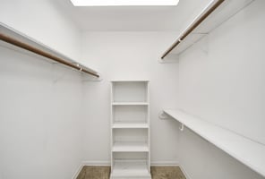 31535481