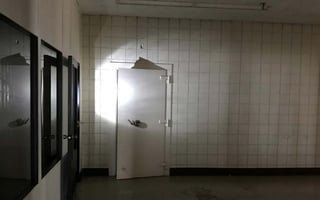 31536277