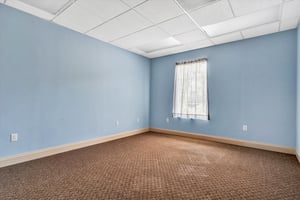 31538567