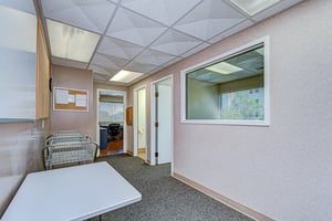 31538833