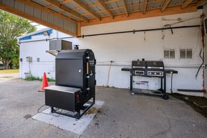 31538904
