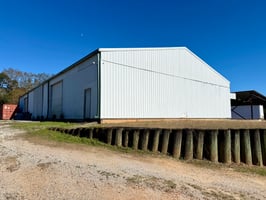 31539629