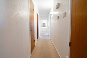 31540640