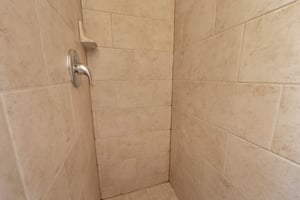 31542590