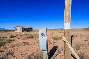 31540867