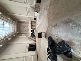 31541572